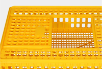 Boîtes de Transport des poules, récipients en plastique, pour bébés, Cage, 2 unités