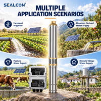 Pompe à eau solaire submersible DC 3 pouces 85m 110V 6m³/h 1.5hp avec protection contre le fonctionnement à sec pour l'agriculture