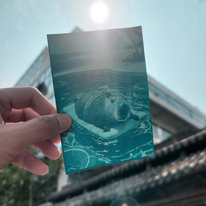 Kit DIY de carte postale cyanotype A6 Capybara - Forme rectangulaire, motifs multiples, couleur bleue - Product Image 2