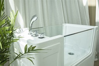 Machine de bain à ozone autoportante, écologique, au design moderne, avec 8 jets, pour le toilettage et le bain des chiens dans la salle de bain