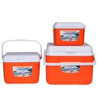 Nouveau Lot de Glacières Congélateurs d'Usine 5L 13L 26L pour Camping – Promotion Choc
