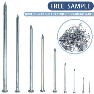 Clavos comunes de vástago liso de hierro estándar ISO certificado internacional 2-3 pulgadas <span class=keywords><strong>Precio</strong></span> de fábrica de alta calidad - Product Image 2