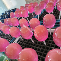 Chien ballon en résine translucide Weivista, artisanat en résine, ornements pour la décoration de la maison dans le salon