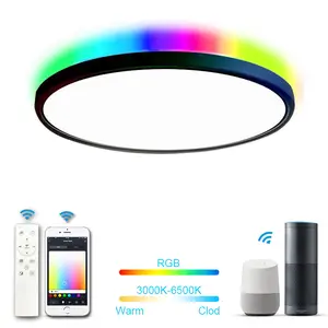 Alexa-lámpara de techo Led RGB con cambio de Color, luz inteligente regulable de 12 pulgadas y 24W, montaje empotrado ultrafino con Control por aplicación Google Home