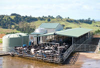 Abri agricole préfabriqué en acier de conception moderne pour l'élevage de chèvres et de moutons à usage agricole