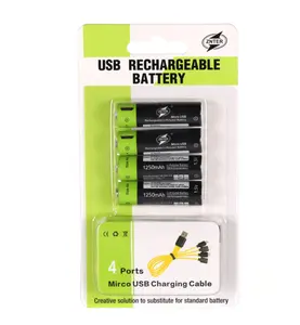Batterie au Lithium polymère Rechargeable par USB écologique avec câble de charge Micro USB 1.5V AA 1700mAh et AAA 600mAh