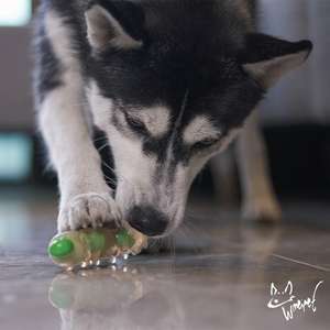 Köpek oyuncak Pet fabrika kaynağı interaktif çiğnemek oyuncaklar köpekler için çiğnemek oyuncak köpekler diş temizliği önlemek can sıkıntısı giderir - Product Image 6