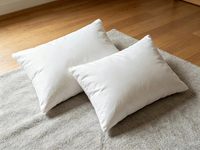 Oreiller en duvet d'oie de haute qualité, garnissage 1100g, housse en coton respirant, confortable et doux, pour la maison et l'hôtel, vente en gros