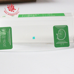 Portaobjetos de microscopio, secciones de muestras biológicas, experimentos infantiles, observación educativa, portaobjetos de vegetales y plantas (5) - Product Image 1