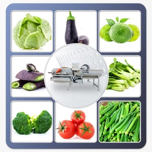 Machine de découpe professionnelle pour <span class=keywords><strong>salade</strong></span>, <span class=keywords><strong>lavage</strong></span> de légumes et de fruits, lavable, ligne de traitement de fruits, - Product Image 6