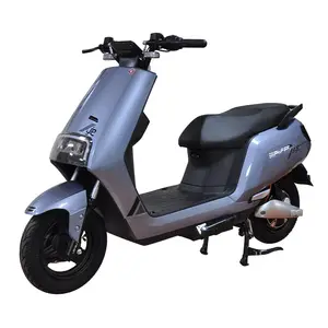 מקורי זול מחיר באיכות גבוהה פופולרי 1000w 2 גלגל חשמלי קטנוע חשמלי אופנוע