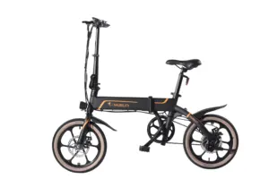 Rickshaw de montaña, motores zypp, el más barato, ciclo eléctrico