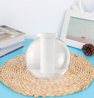 Vase globe en verre bulle rond coloré soufflé à la main pour décoration de maison personnalisé en gros pour arrangement floral de table