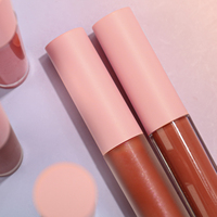 Rose givré tube mince marque privée maquillage en gros vendeur personnalisé brillant à lèvres rouge à lèvres mat rouge à lèvres bio liquide rouge à lèvres