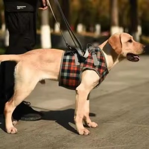 Échantillon Gratuit Harnais de Poitrail Réglable pour Chien, Harnais de Levage pour Animaux Âgés, Sangle de Soutien pour Chien Handicapé ou Blessé aux Articulations, Aide à la Marche pour Chien - Product Image 4