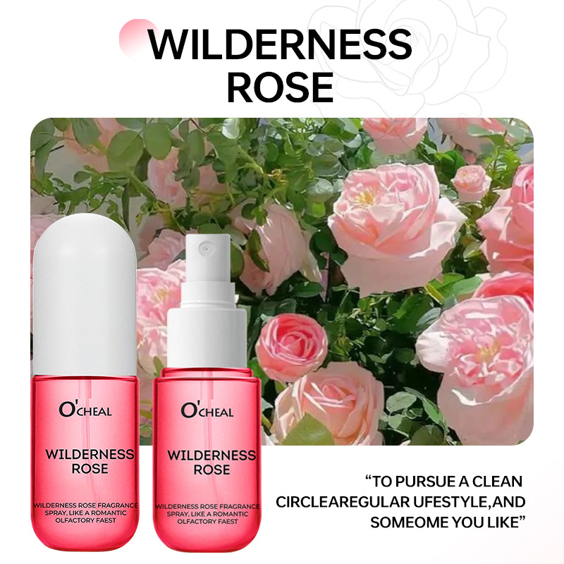 01rose sauvage