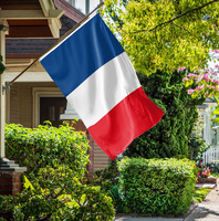 Drapeaux en polyester de haute qualité Promotion en gros impression Jumbo taille 90x150cm 3x5 pieds drapeau personnalisé Double face drapeau national France