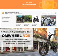 Vélo électrique de montagne pas cher d'usine C28 250W 48V 15.6AH 20 pouces Fatbike V20 Frein à disque double Porte-bagages avant E Dirt Bikes