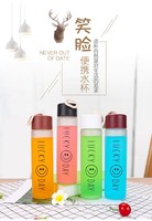 Gourde Enfant en Verre Pas Cher du Fabricant – Bouteille d'Eau Mignonne pour Sports de Plein Air, Idéale pour les Enfants, Boissons Chaudes et Froides, Cadeau de Randonnée