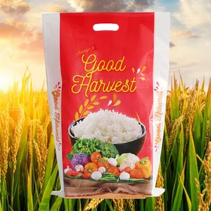 Kustom kosong 5kg 10kg Bopp laminasi kemasan nasi tas polietilen BOPP kemasan nasi tas dengan pegangan