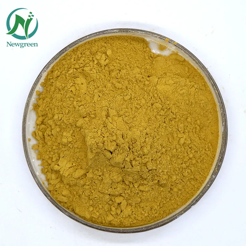 High Quality Water-Solution Phyllanthus Emblica Extract In Bulk