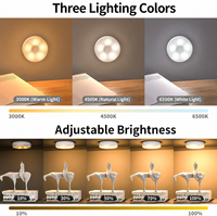 Lampe LED magnétique rechargeable minimaliste à intensité tactile, 3 températures de couleur, avec minuterie et télécommande pour la maison