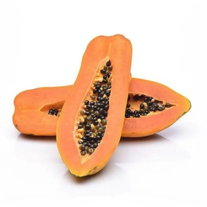 Kualitas tinggi alami organik larut air pabrik pasokan enzim pepaya CAS 9001-73-4 bubuk <span class=keywords><strong>Papain</strong></span> 50000U/g - Product Image 4