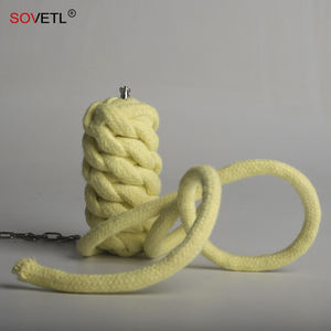 10mm 12mm 16mm 18mm Aramide Kevlars Mèche Corde Ignifuge Ignifuge Résistant Au Feu Aramide Corde pour Jugging Fire Flow Show POI - Product Image 6