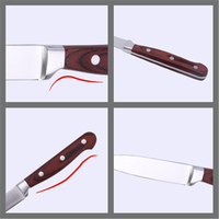 Couteau à coupe quotidienne en carbure de tungstène, cuisine japonaise, couteau d'office