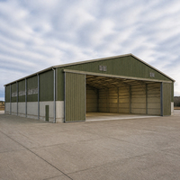 Hangar d'aviation Olive avec façade coulissante haute, volets de ventilation, porte de service et accès par aile de béton