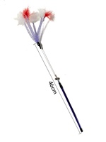 Long Flirting Feather Tickler SM Produits Gadgets ludiques Jouets sexuels pour les préliminaires sexuels