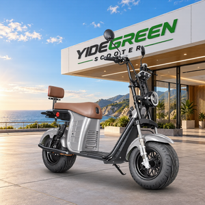 Scooter Elettrico Citycoco X12 1000W con NFC Antifurto, Fornitura da Concessionario e Distributore del Magazzino in Brasile - Product Image 1