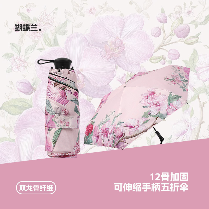 Phalaenopsis