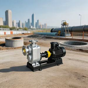 Pompe auto-amorçante SQHB 15HP ZW 50-40-11 pour les inondations municipales au Kazakhstan - Product Image 1