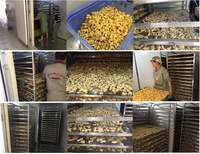 KINKAI Industriële Commerciële Voedseldehydrator & Droogmachine met Warmtepomp RVS Automatische Besturing Hoge Efficiëntie