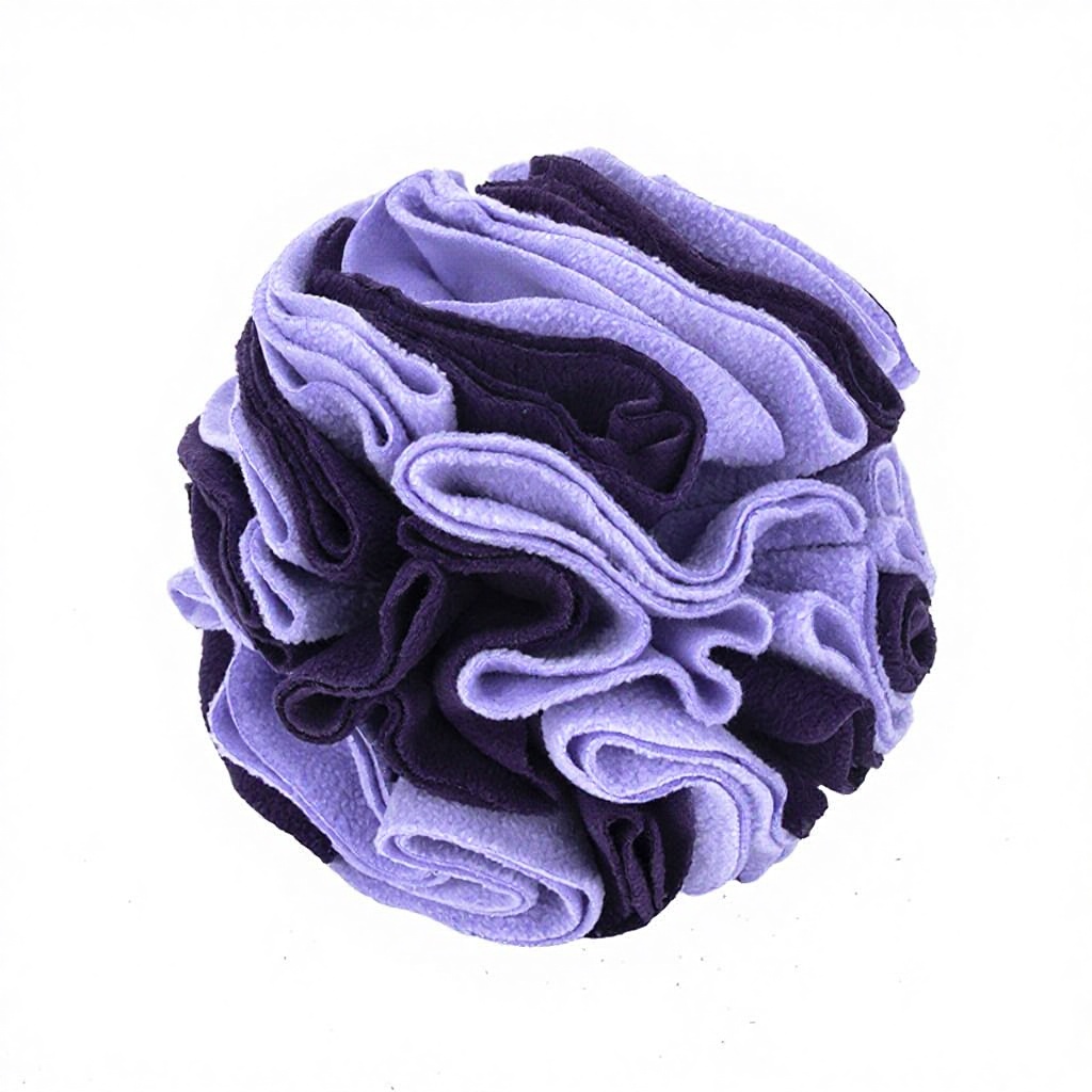 Pourpre