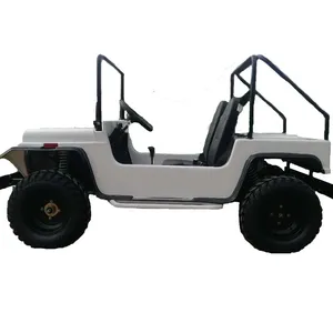 Mini Quad ATV 1500W électrique coccinelle accessoires de voiture voiturettes de Golf pour adultes Buggy tout-terrain