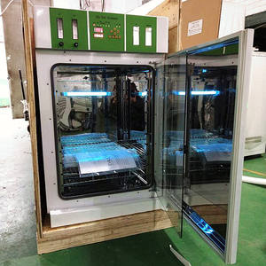 DW-WJ-2 CO2-Inkubator Kohlendioxid-Zell-Inkubator für die moderne Medizin Biochemie - Product Image 2