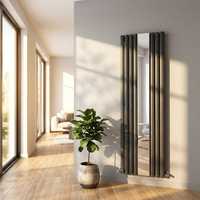 Radiateur tubulaire oblate avec miroir, radiateurs à eau chaude muraux en colonne à vendre