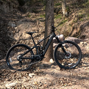 Bicyclette de <span class=keywords><strong>VTT</strong></span> électrique personnalisée en carbone de 29 pouces pour adulte, puissante, à entraînement central, batterie cachée et à longue portée - Product Image 4