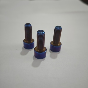 Vis en alliage de titane GR5 pour moto et vélo, anodisées bleues, à tête bouton/hexagonale/cylindrique, <span class=keywords><strong>M5</strong></span> M6 M8, à entraînement hexagonal interne - Product Image 4
