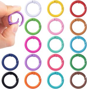 Spring O-Rings for Bag Purse Multi-colors Round Carabiner <b>Clip</b> Split Zinc Alloy Snap Keyring <b>Hooks</b> - Product Image 1