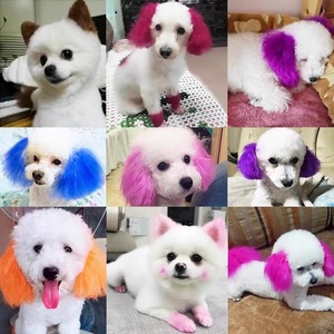 Tinte para el pelo de perro para Bichón Frisé, Pomerania, Teddy Bear, producto seguro para el cuidado de mascotas, color blanco, tinte para el pelo de perro. - Product Image 1