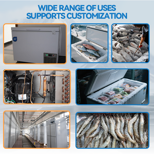 Congelatore a Shock ad Alte Prestazioni da 158L, 248L, 308L per Gelaterie e Negozi di Gelato - Product Image 3