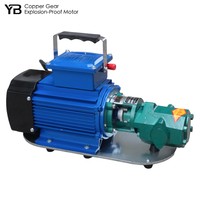 Pompe à huile hydraulique portable WCB 50, 50 LPM, 0,75 KW, moteur antidéflagrant en bronze, sortie universelle, 2800 tr/min, avec poignée
