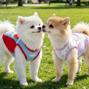 Cool Vest For Dogs Thin Breathable Polyester Four Seasons Small Dog Cooling Clothing With <b>Hat</b> Red <b>Purple</b> Solid Pattern - Product Image 1