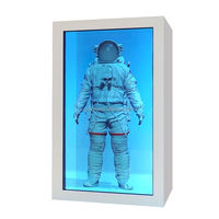 Écran Holographique 3D LCD IA d'Intérieur, Vitrine Holographique Interactive, Boîte LCD Transparente, Méta Humain Numérique Virtuel Holobox
