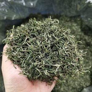 ใบชาเขียวจากจีน <span class=keywords><strong>Hunan</strong></span> Xiangxi Huangjin Cha ชาเขียวทองใหม่ล่าสุดการเก็บเกี่ยว - Product Image 4