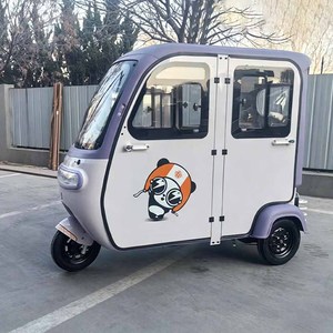 Triciclo Eléctrico Cerrado para Adultos, 800W 60V, de Recreo, con 4 Puertas - Product Image 3