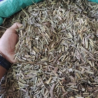 Yulin City Factory Vanille Acheteurs Graines À Vendre Vanille Herbe Herbe Pour Une Utilisation Professionnelle De Boulangerie
